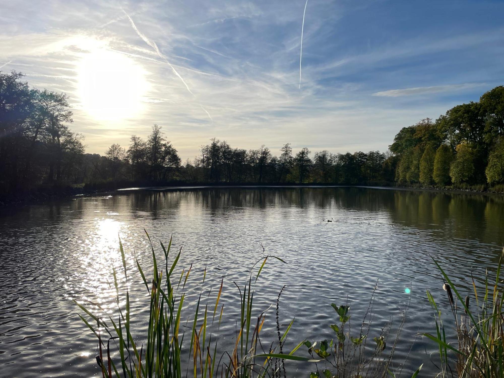 Naturnahe Unterkunft In Der Burgenstadt Шлиц Екстериор снимка